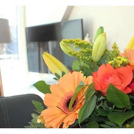 Apartment Cosy Near Centre *